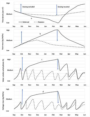 Vegetation Options for Increasing Resilience in Pastoral Hill Country